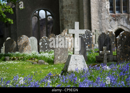 Croce di pietra tombale nella Santa Trinità sagrato, Buckfastleigh, Devon, Inghilterra Foto Stock