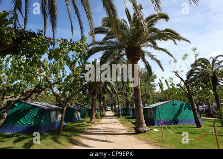 Le tende sotto le palme in un campeggio in Spagna Foto Stock