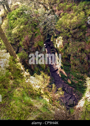 Lud la Chiesa nei boschi a Gradbach, Staffordshire Moorlsnds, Parco Nazionale di Peak District Foto Stock