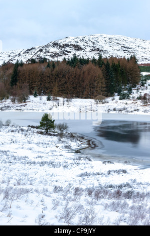 Inverno sul Craignell, Galloway Forest Park, Galloway, Scotland, Regno Unito Foto Stock