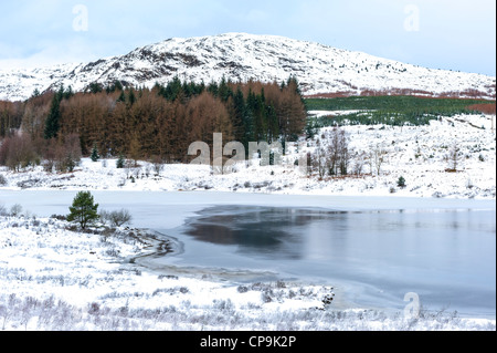 Inverno sul Craignell, Galloway Forest Park, Galloway, Scotland, Regno Unito Foto Stock