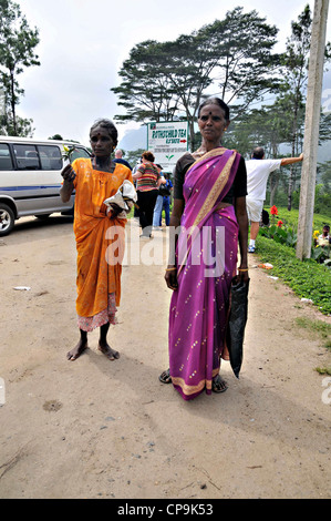 Pussellawa, Kandy District, Sri Lanka. La Rothschild Tea Break Foto Stock