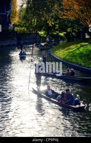 Punt sul fiume in Cambridge rowing autunno tempo libero Foto Stock