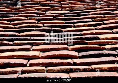 Tegole del tetto da St Lawrence Chiesa Parrocchiale San Lorenzo, Essex, Inghilterra, Regno Unito, Europa Foto Stock