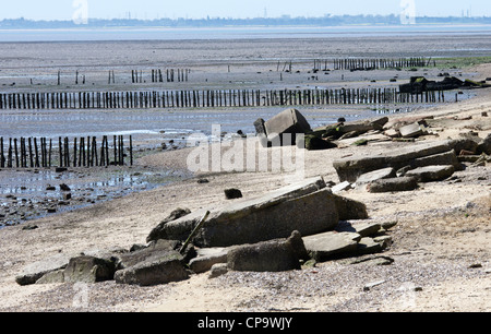 Rovine della seconda guerra mondiale le fortificazioni, Mersea, Essex Foto Stock