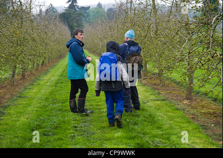 Passeggiata guidata intorno il sidro di mele Frutteti di mele parte della grande mela BLOSSOMTIME festival presso il villaggio di Putley vicino a Hereford Herefordshire England Regno Unito Foto Stock
