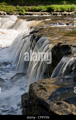 Fiume Ure cascading & che fluisce oltre il gradino rocce calcaree presso le cascate inferiori, Aysgarth in scenic Yorkshire Dales campagna - Wensleydale, Inghilterra, Regno Unito. Foto Stock
