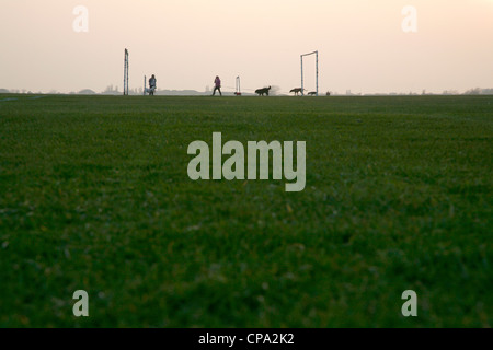 Dog walkers sul calcio su Assenzio Scrubs Park, Wormwood Scrubs, London, Regno Unito Foto Stock