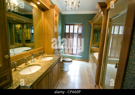 Plas Cilybebyll stile francese mansion vicino a Rhos, Neath, Regno Unito Foto Stock