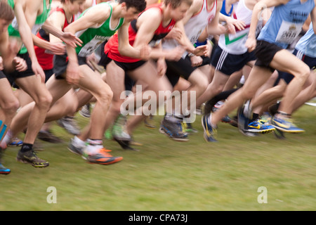 Inter-Counties Cross Country campionati in esecuzione Cofton Park di Rednal, Birmingham, Inghilterra, Regno Unito Foto Stock