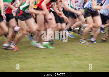 Inter-Counties Cross Country campionati in esecuzione Cofton Park di Rednal, Birmingham, Inghilterra, Regno Unito Foto Stock