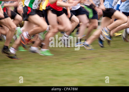 Inter-Counties Cross Country campionati in esecuzione Cofton Park di Rednal, Birmingham, Inghilterra, Regno Unito Foto Stock