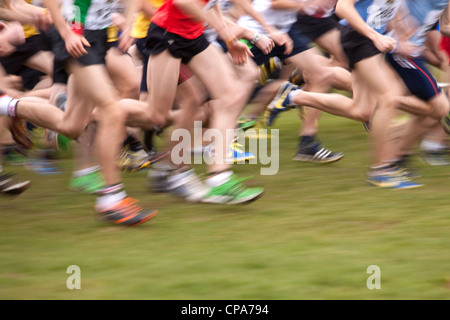 Inter-Counties Cross Country campionati in esecuzione Cofton Park di Rednal, Birmingham, Inghilterra, Regno Unito Foto Stock