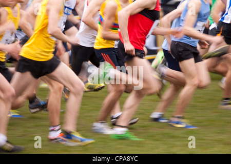 Inter-Counties Cross Country campionati in esecuzione Cofton Park di Rednal, Birmingham, Inghilterra, Regno Unito Foto Stock