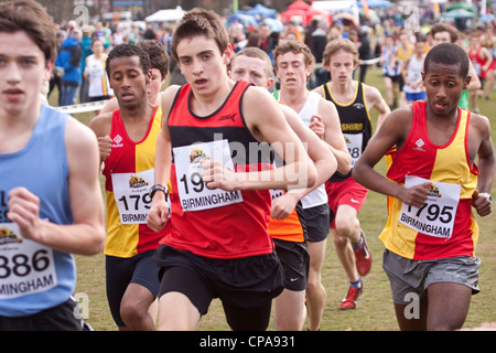 Inter-Counties Cross Country campionati in esecuzione Cofton Park di Rednal, Birmingham, Inghilterra, Regno Unito Foto Stock