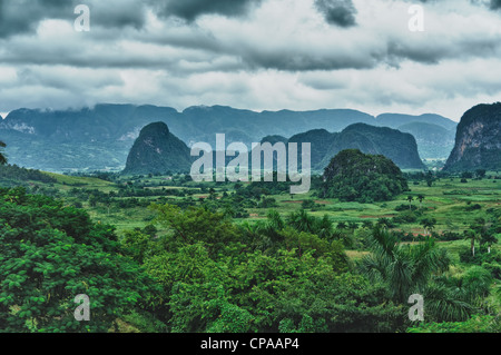 Il Vinales Valley in Cuba, una famosa meta turistica e una delle principali per la coltivazione del tabacco area Foto Stock