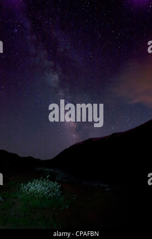 Stati Uniti d'America, Colorado, Loveland Pass. La Via Lattea brilla nel cielo notturno sulla Divisione Continentale Foto Stock