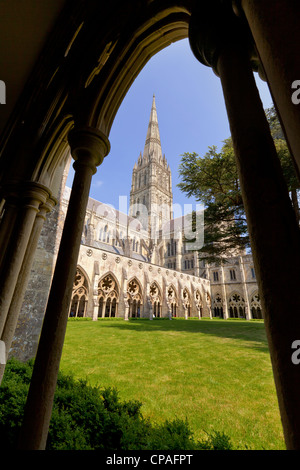 Considerato da alcuni il più bel edificio in Inghilterra, Cattedrale di Salisbury, visto attraverso un arco nel chiostro. Foto Stock