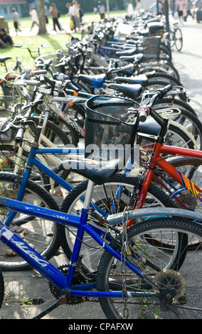 Le biciclette in una riga Foto Stock