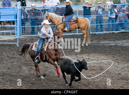 Stati Uniti d'America, Idaho, Fort Hall.partecipante in donne steer roping evento del rodeo tenutasi durante l'annuale Festival Shoshone-Bannock. Foto Stock