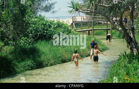 La gente camminare acque di Eli Creek vicino alle spiagge ad est dell'Isola di Fraser, sito patrimonio mondiale dell'UNESCO del Queensland Foto Stock