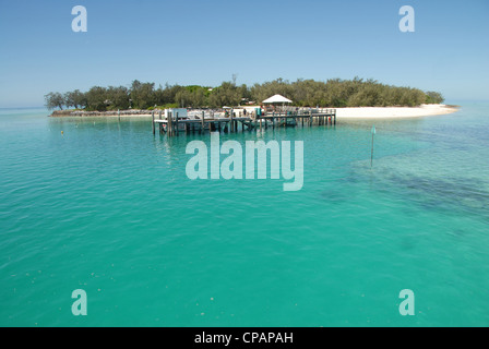 Le acque turchesi del Heron Island nel Queensland Meridionale della Grande Barriera Corallina sono famosi per le immersioni, snorkeling, yachting Foto Stock