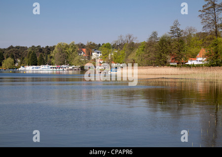 Scharmützelsee, Bad Saarow, Brandeburgo, Germania Foto Stock