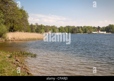 Scharmützelsee, Bad Saarow, Brandeburgo, Germania Foto Stock