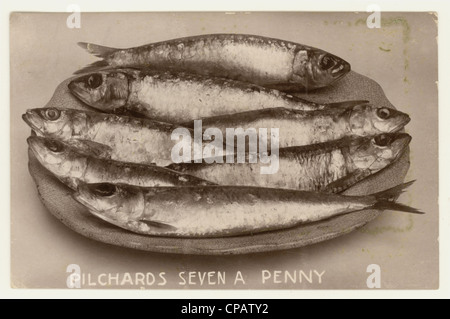 Originale cartolina di epoca edoardiana ancora vita di piatto di pilchards, la didascalia recita 'Pilchards Seven a Penny' da Cornwall, UK, circa 1908 Foto Stock