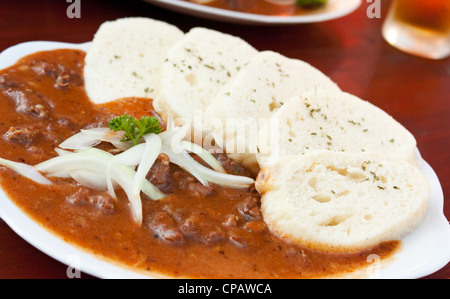 Gulasch di manzo e gnocchi (knedliky) dalla Repubblica ceca Foto Stock