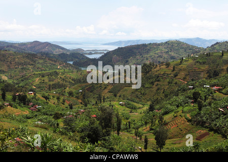 Farmland dal Lago Kivu nella provincia occidentale del Ruanda. Foto Stock