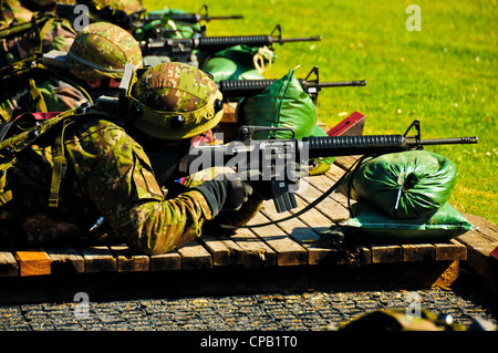 I soldati slovacchi puntano i fucili M16A2 mentre si qualificano su una gamma durante un esercizio di formazione Operational Mentor Liaison Team (OMLT) presso il Joint Multinational Readiness Centre di Hohenfels, Germania, 8 maggio 2012. La formazione OMLT XXIII e il Team di collegamento con guide operative della polizia (POMLT) VII sono stati concepiti per preparare i team per l'implementazione in Afghanistan con la capacità di formare, consigliare e abilitare la forza di sicurezza nazionale afghana in aree quali la controrivellazione, la consulenza di combattimento e le operazioni di supporto per la forza. Foto Stock