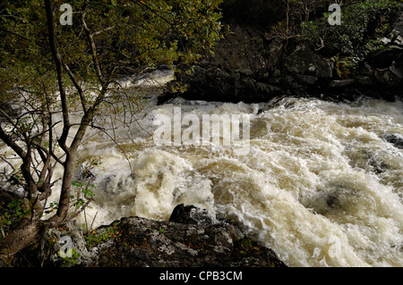 Un torrente di acqua bianca precipita a stretto scende di Leny vicino a Callander, dopo forti piogge. La Scozia, Regno Unito. Foto Stock