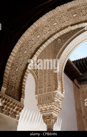 Ornata di rilievi coprire gli archi e pareti in Nasrid palazzi dell'Alhambra di Granada, Spagna. Foto Stock