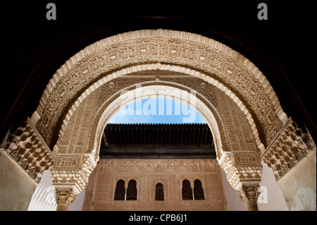 Ornata di rilievi coprire gli archi e pareti in Nasrid palazzi dell'Alhambra di Granada, Spagna. Foto Stock