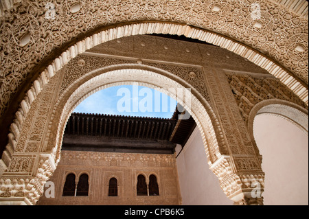 Ornata di rilievi coprire gli archi e pareti in Nasrid palazzi dell'Alhambra di Granada, Spagna. Foto Stock