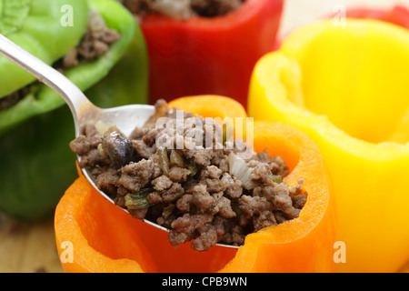 Colorata di peperoni peperoni o essere farcito con un ripieno di carne di manzo macinata, fungo, la cipolla e il sedano. Foto Stock