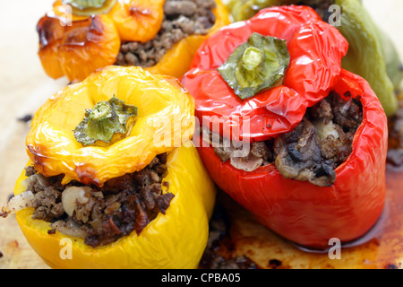 Colorata di peperoni peperoni o farcite con un ripieno di carne di manzo macinata, funghi, cipolla e sedano, direttamente dal forno. Foto Stock