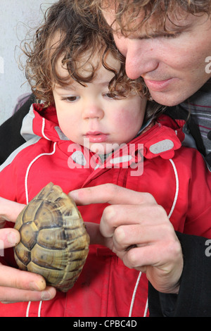 Padre e figlio tenendo la tartaruga Foto Stock