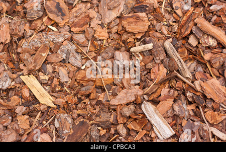 La pacciamatura in legno fuori in giardino, molto strutturato Foto Stock