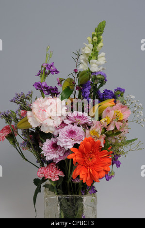 Fiori in un vaso di vetro, Costa del Sol, provincia di Malaga, Andalusia, Spagna, Europa occidentale. Foto Stock