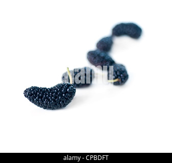 Fresche e mature oltre il gelso bianco closeup estreme DOF Foto Stock