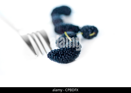 Fresche e mature oltre il gelso bianco closeup estreme DOF con forca Foto Stock