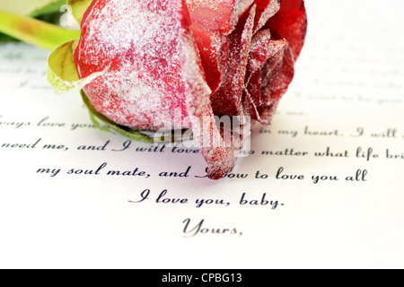 Red Rose e lettera d'amore Foto Stock
