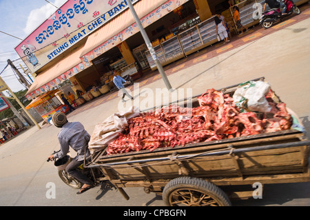 Chiudere orizzontale di un ciclomotore e rimorchio caricato con morti di carcasse animali guida lungo una strada di Phnom Penh Cambogia. Foto Stock