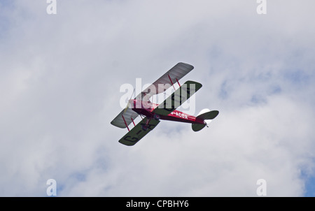 Tiger moth in volo Foto Stock