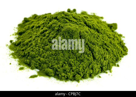 Piccolo mucchio di verde liofilizzato organici di erba di frumento polvere, supplemento nutrizionale Foto Stock