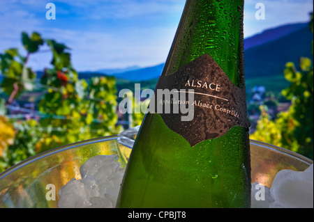 Chiudere la vista vino Alsaziano etichetta sulla bottiglia in wine cooler Riquewihr villaggio del vino e vigneti in background Alsace Francia Foto Stock