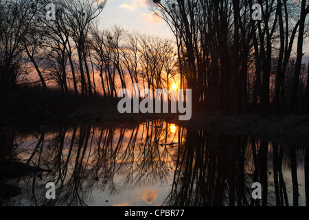 Tramonto sul fiume e legno Foto Stock