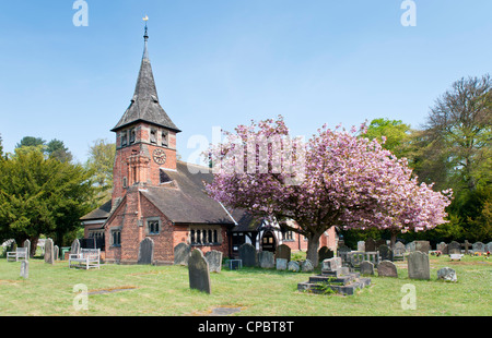 Fiore di Ciliegio al di fuori di Santa Maria la Chiesa Parrocchiale, Whitegate, Cheshire, Inghilterra, Regno Unito Foto Stock